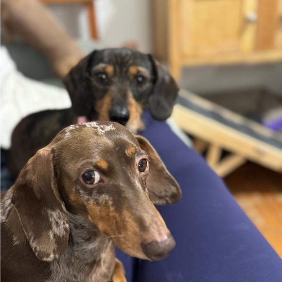 Meet your Posher, Janine - Picture 4 of 7